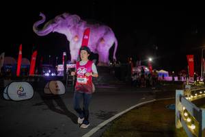 BIB: 
                            <button type="button" onclick="openModal(26551963)" class="btn btn-primary btn-sm float-right btn-popup" data-toggle="modal" data-target=".modal-high-quality">
                        <i class="fas fa-shopping-cart"></i> Add to Cart
                    </button>
                                            <button type="button" onclick="isThisMe(26551963, true)" class="btn btn-success btn-sm float-right btn-popup btn-isme hidden" data-toggle="tooltip" data-placement="bottom" title="นี่คือรูปของคุณใช่ไหม คลิกที่นี่เพื่อเอาเข้าอัลบั้ม">
                        <i class="fas fa-plus"></i> Add to album
                    </button>
                    <button type="button" onclick="isThisMe(26551963, false)" class="btn btn-warning btn-sm float-right btn-popup btn-isnotme hidden">
                        <i class="fas fa-ban"></i> Remove from album
                    </button>